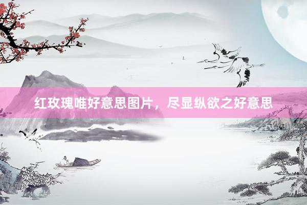 红玫瑰唯好意思图片，尽显纵欲之好意思